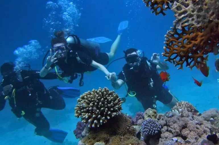 Scuba Diving at Grand Island (Premium)