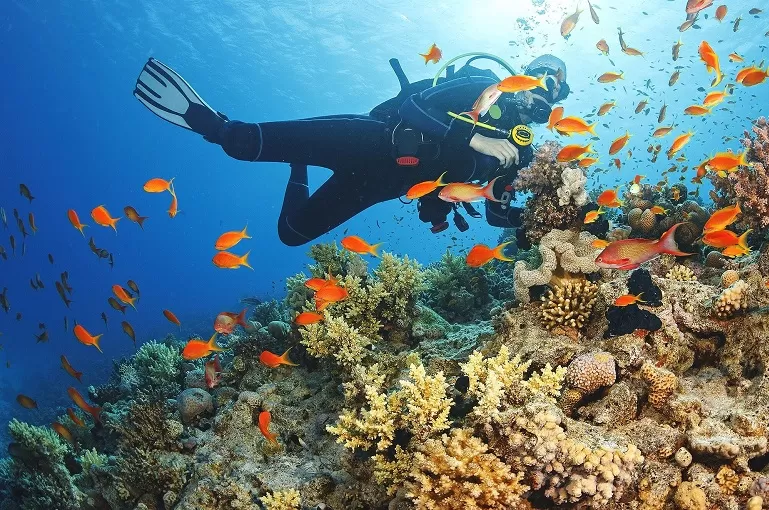 Scuba Diving with 05 Water Sports Combo Packages at Paradise Beach